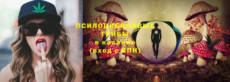 hydra рабочий сайт  Заволжье  Галлюциногенные грибы MAGIC MUSHROOMS 